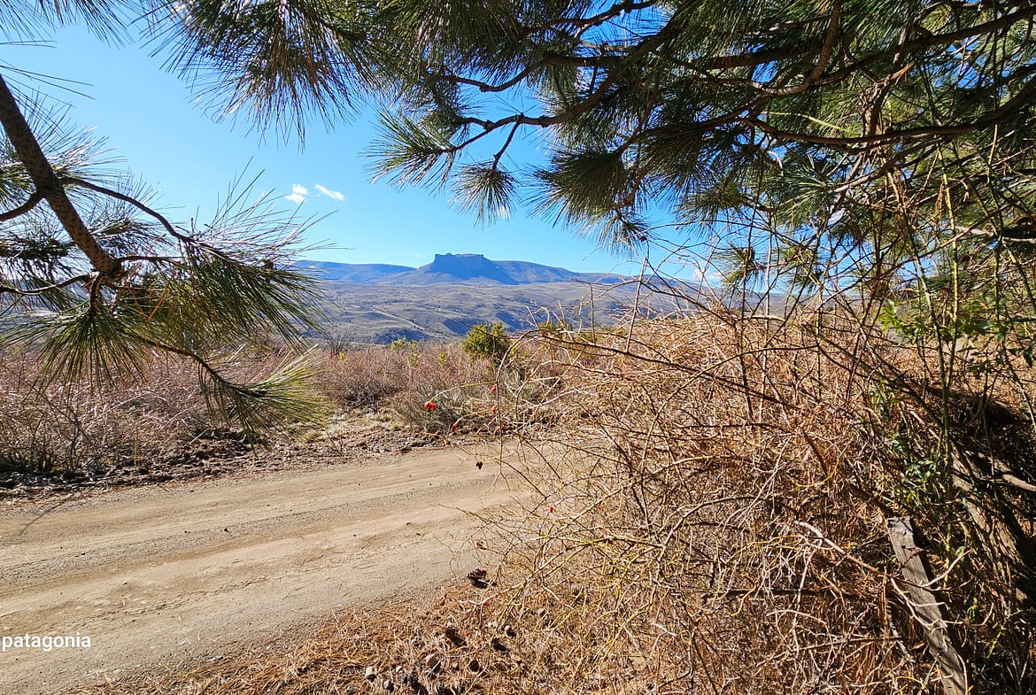 Lote En Venta En San Martín De Los Andes, Barrio De Montaña El Remanso, Patagonia Argentina