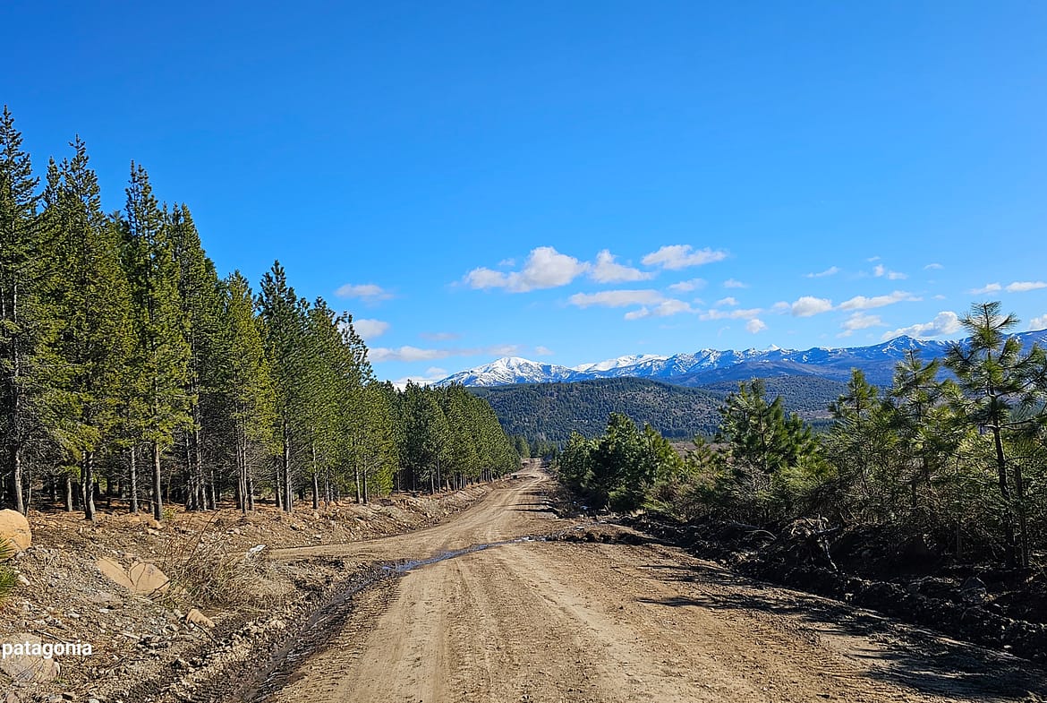 Lote En Venta En San Martín De Los Andes, Barrio De Montaña El Remanso, Patagonia Argentina